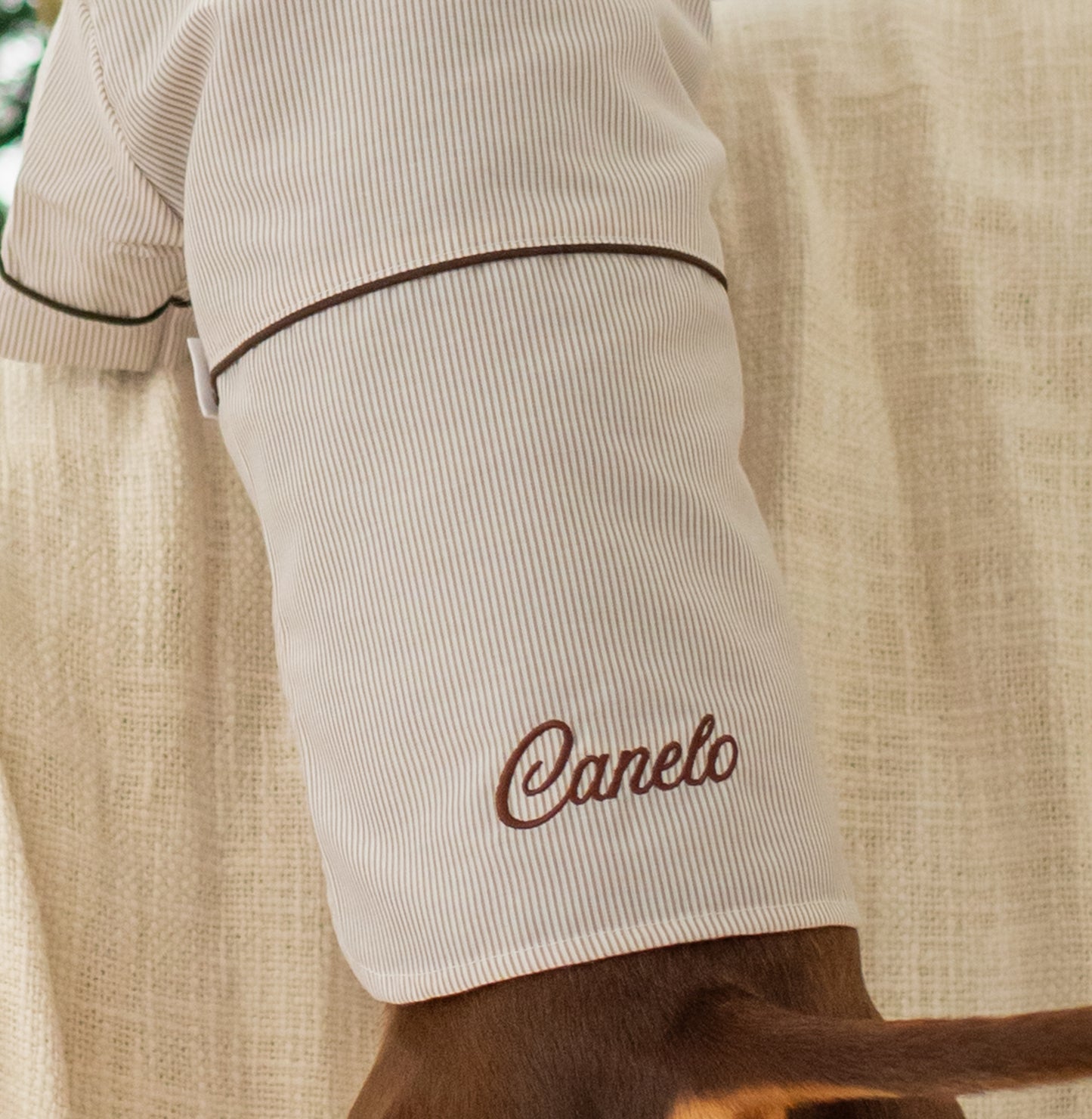 Pijama Cozy Paws Beige (para perritos)