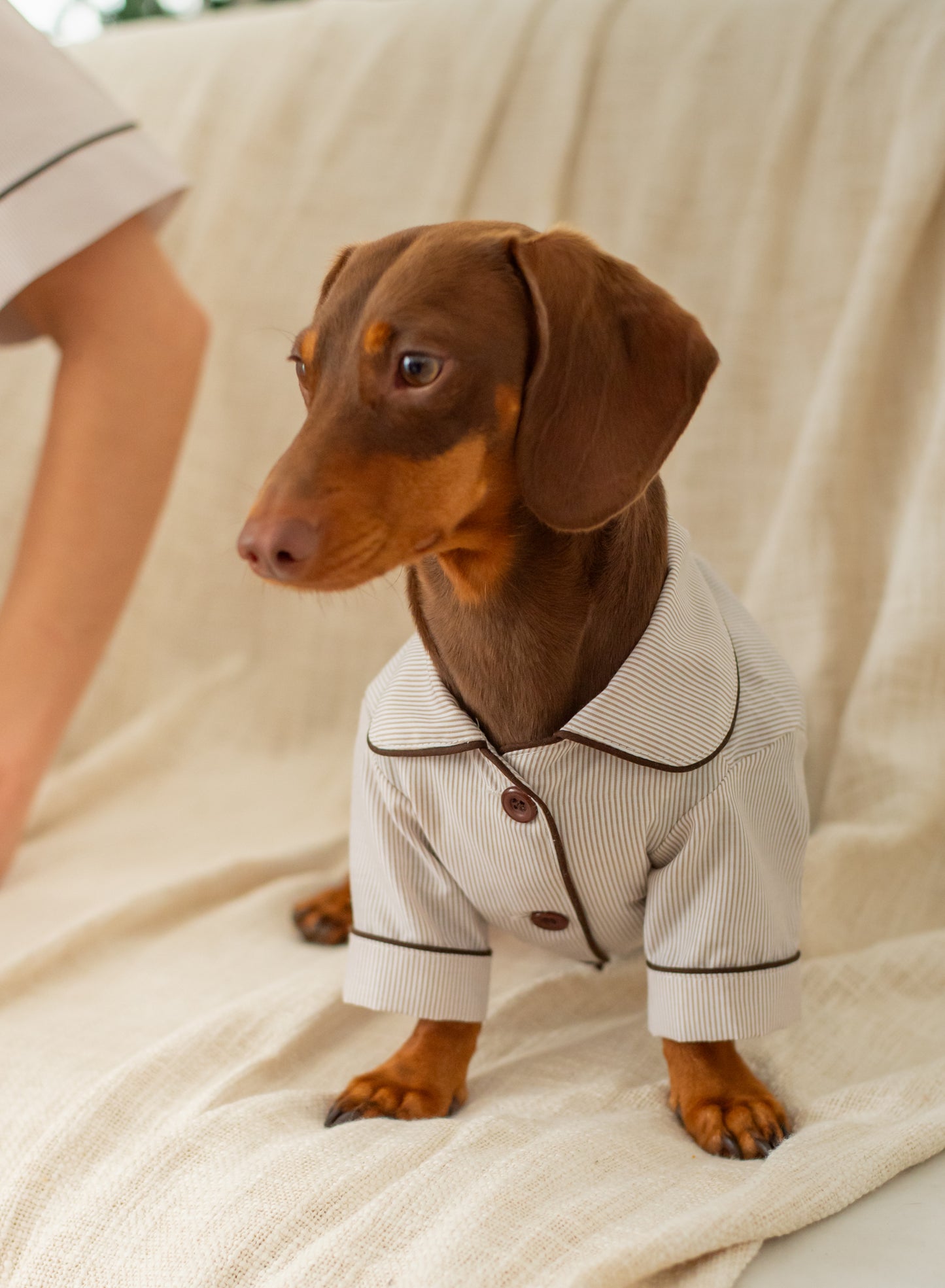 Pijama Cozy Paws Beige (para perritos)