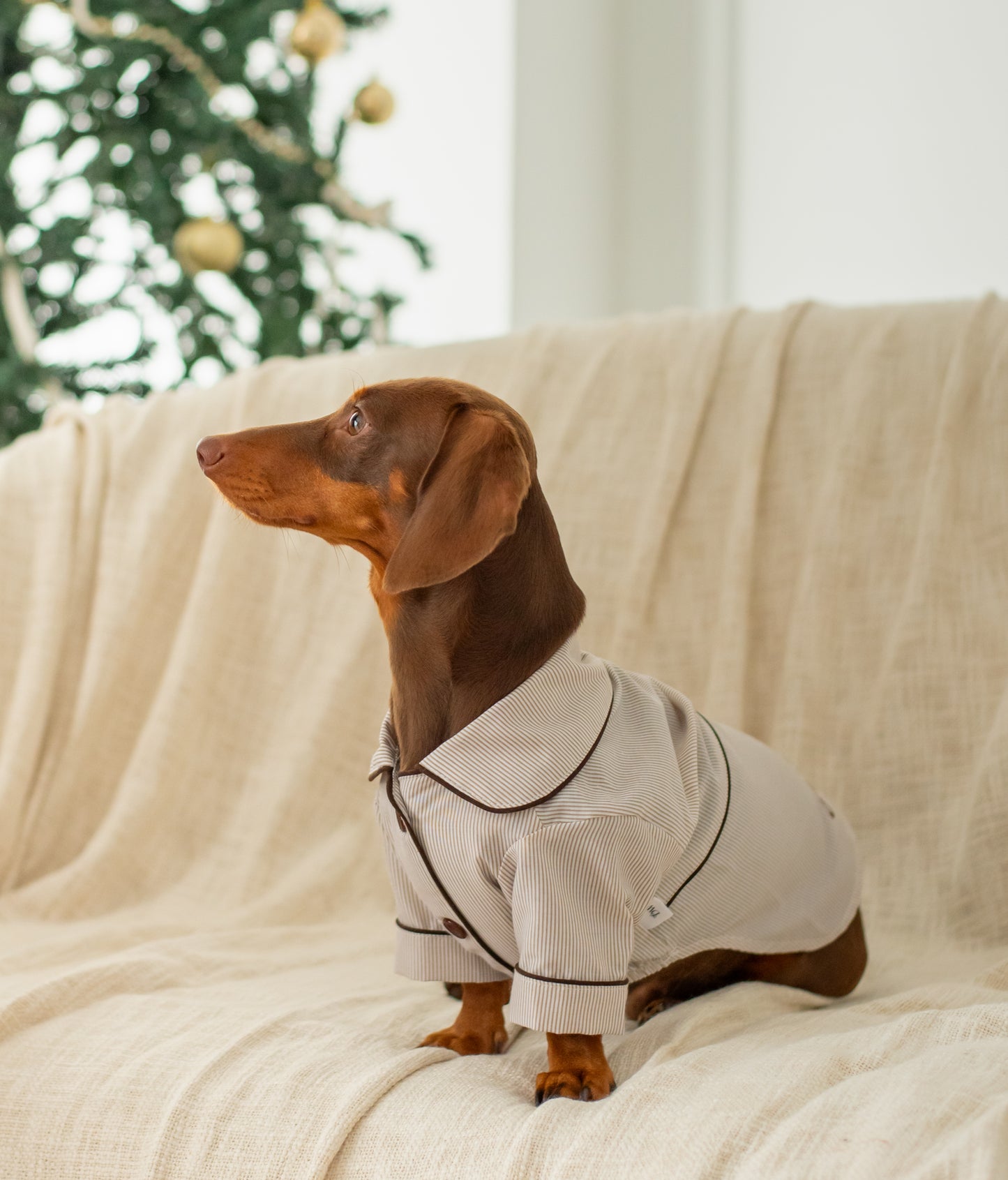 Pijama Cozy Paws Beige (para perritos)