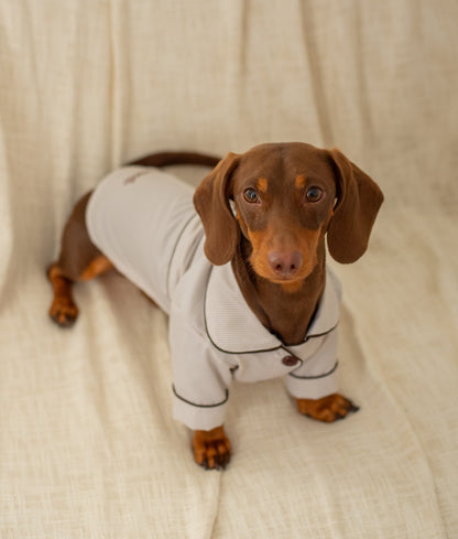 Pijama Cozy Paws Beige (para perritos)