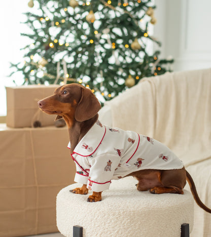 Paw-liday Match (pijama para perritos)