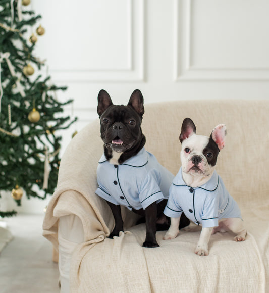 Pijama Cozy Paws Celeste (para perritos)