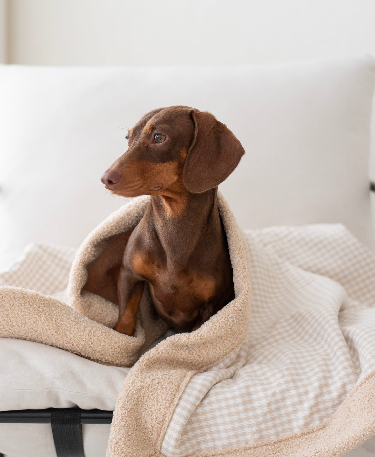 Gigi Blanket