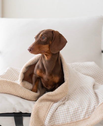 Gigi Blanket