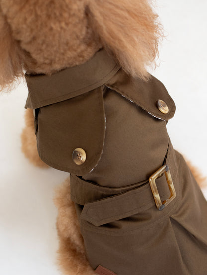The Martina Trench