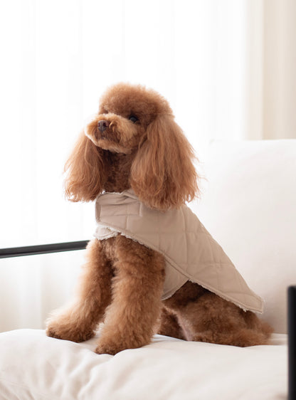 Arlo Vest