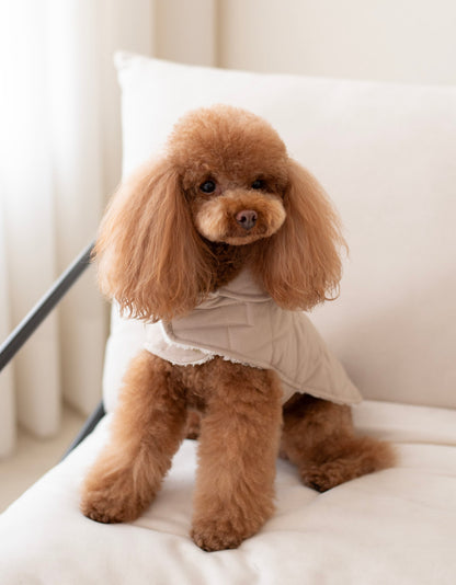 Arlo Vest