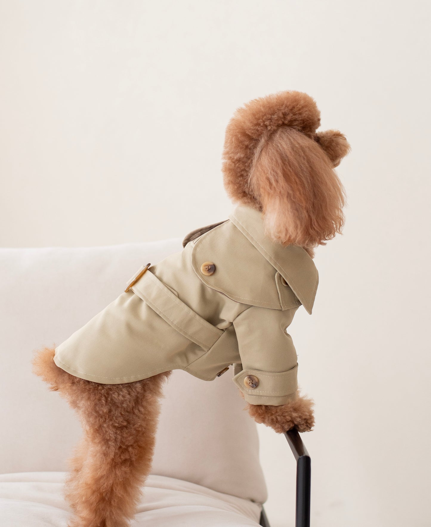 Carlota's Trench Coat