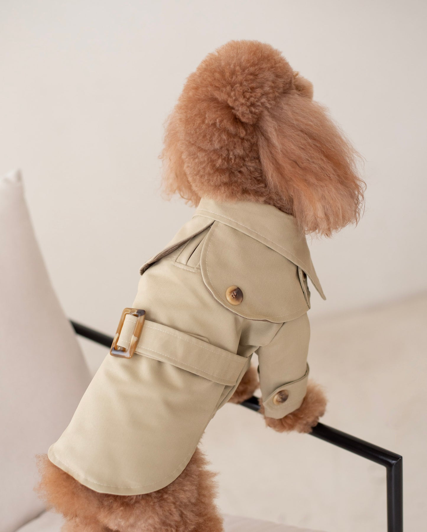 Carlota's Trench Coat
