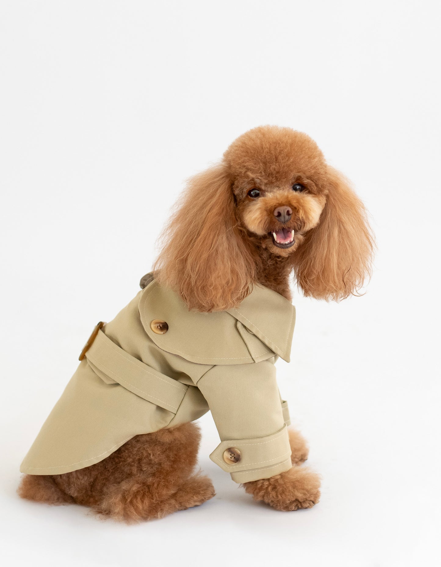 Carlota's Trench Coat