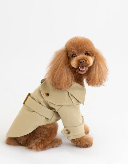 Carlota's Trench Coat
