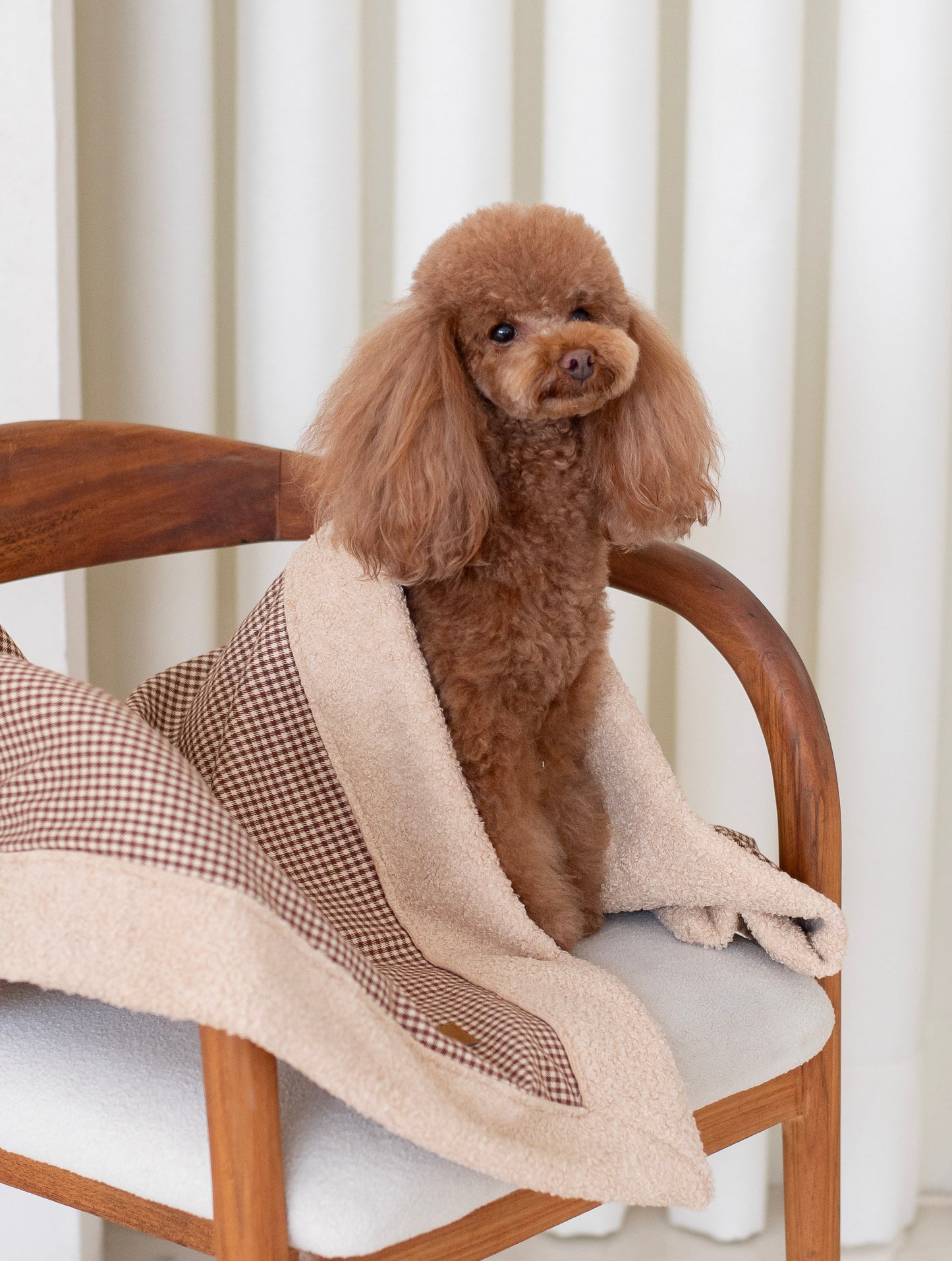 Gigi Blanket