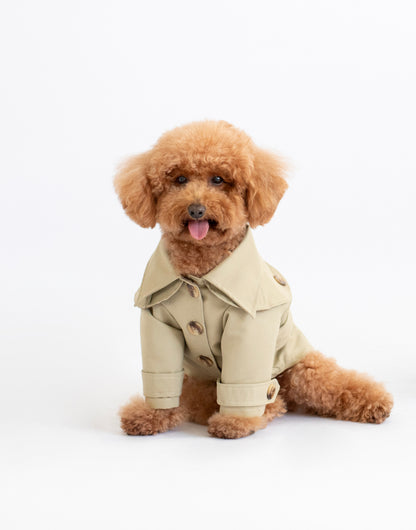 Carlota's Trench Coat