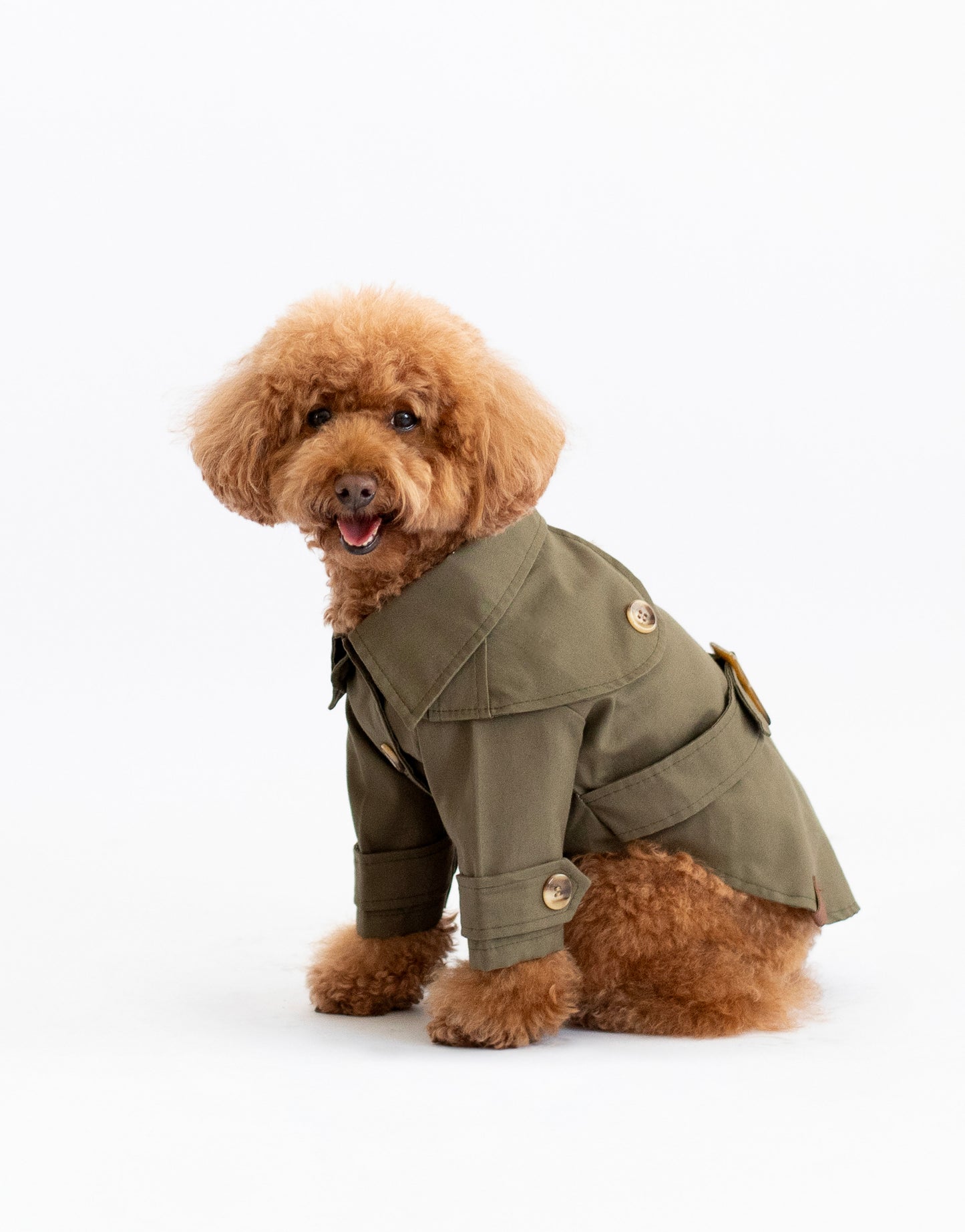 Carlota's Trench Coat