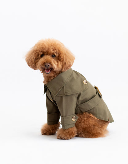 Carlota's Trench Coat