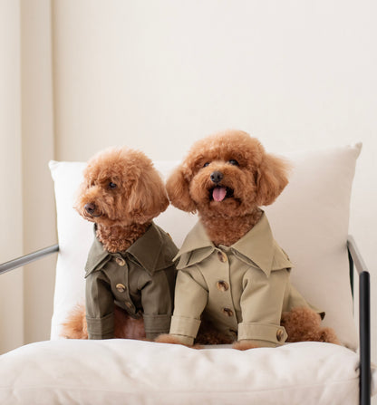 Carlota's Trench Coat