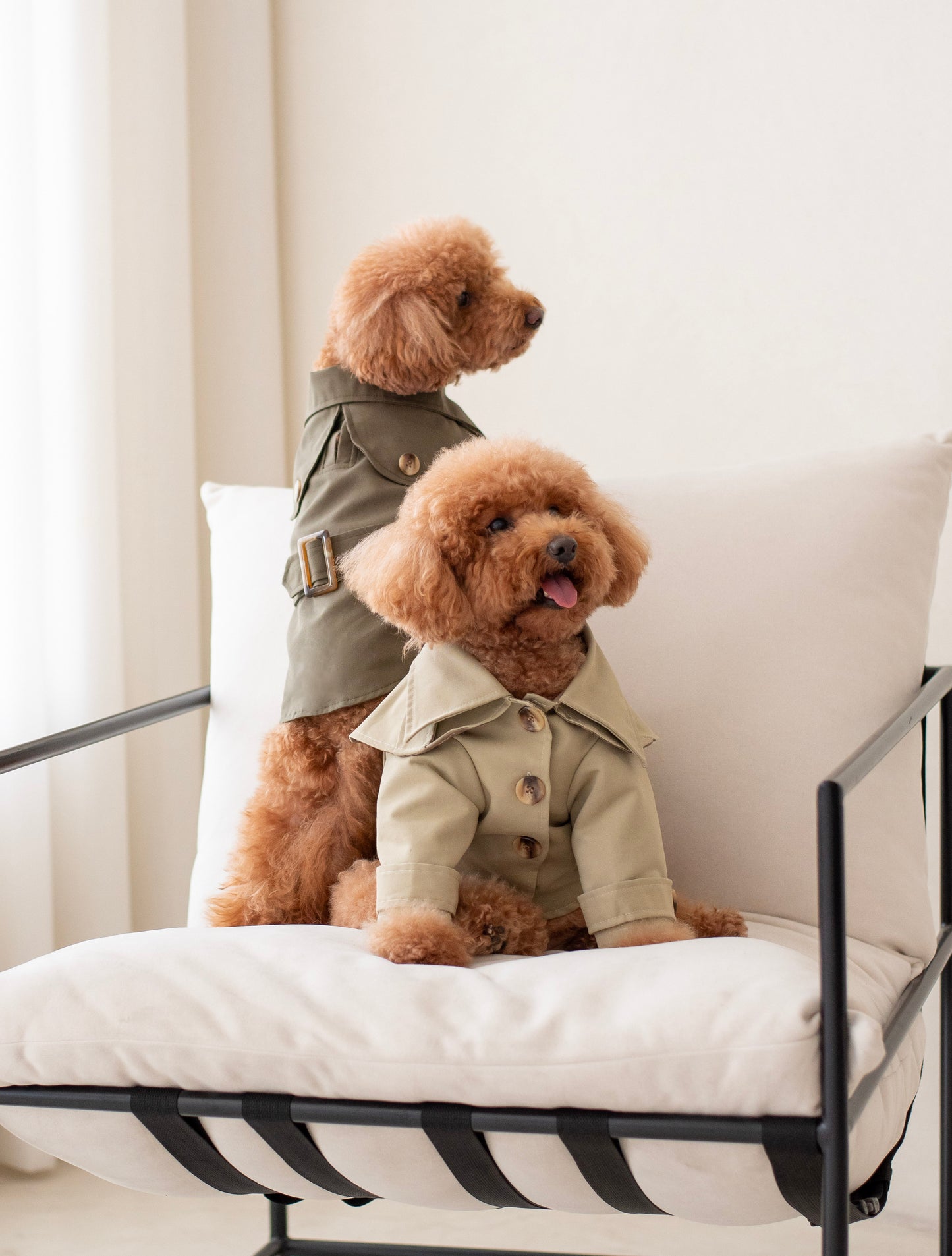 Carlota's Trench Coat