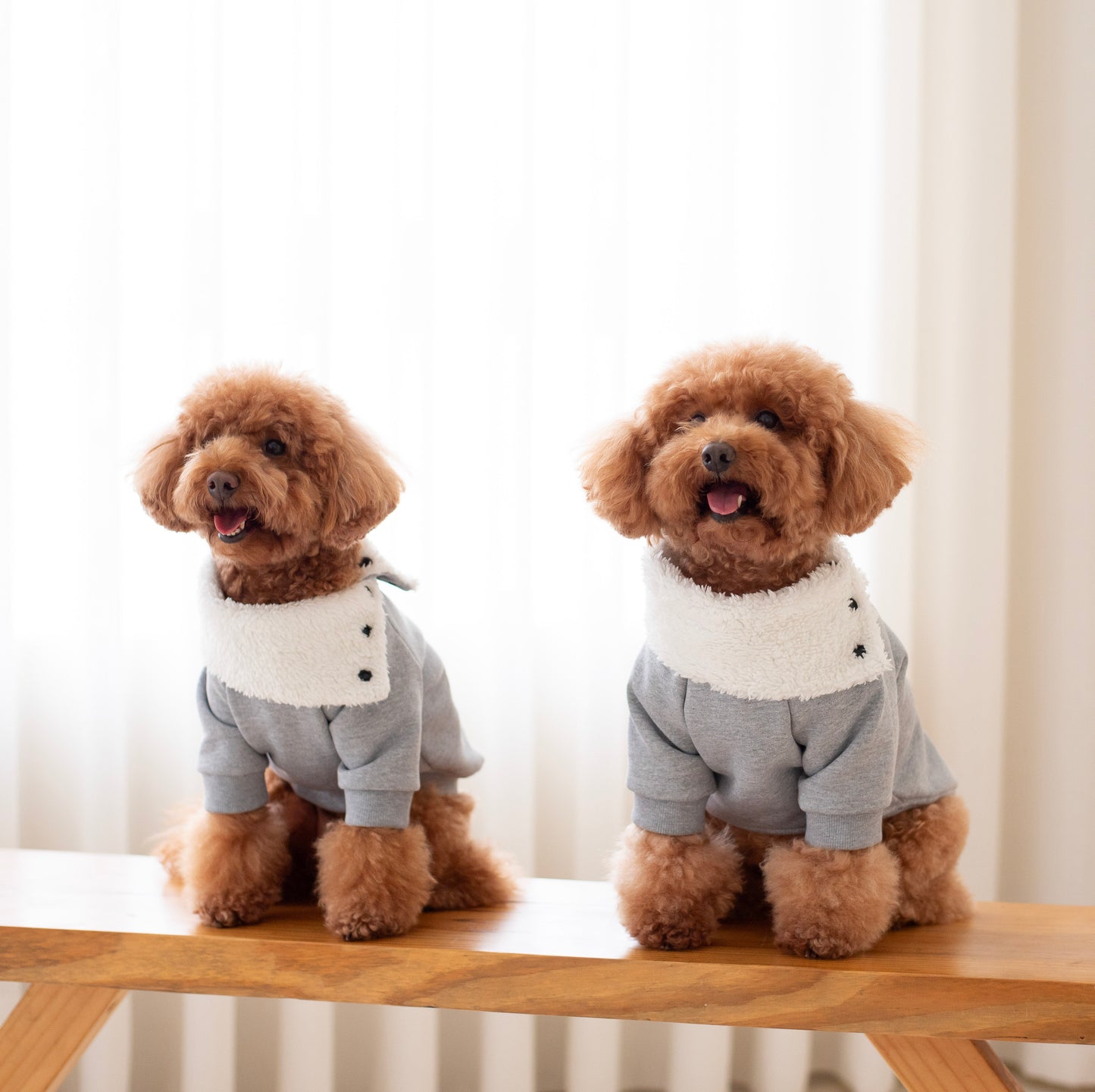 Maison Hoodie