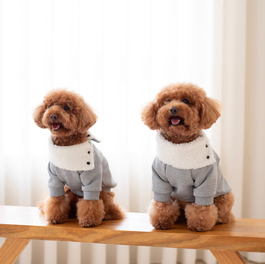 Maison Hoodie
