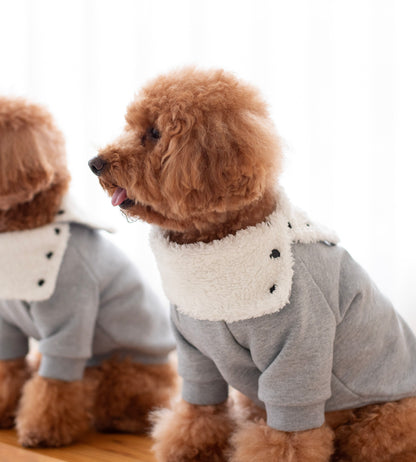 Maison Hoodie