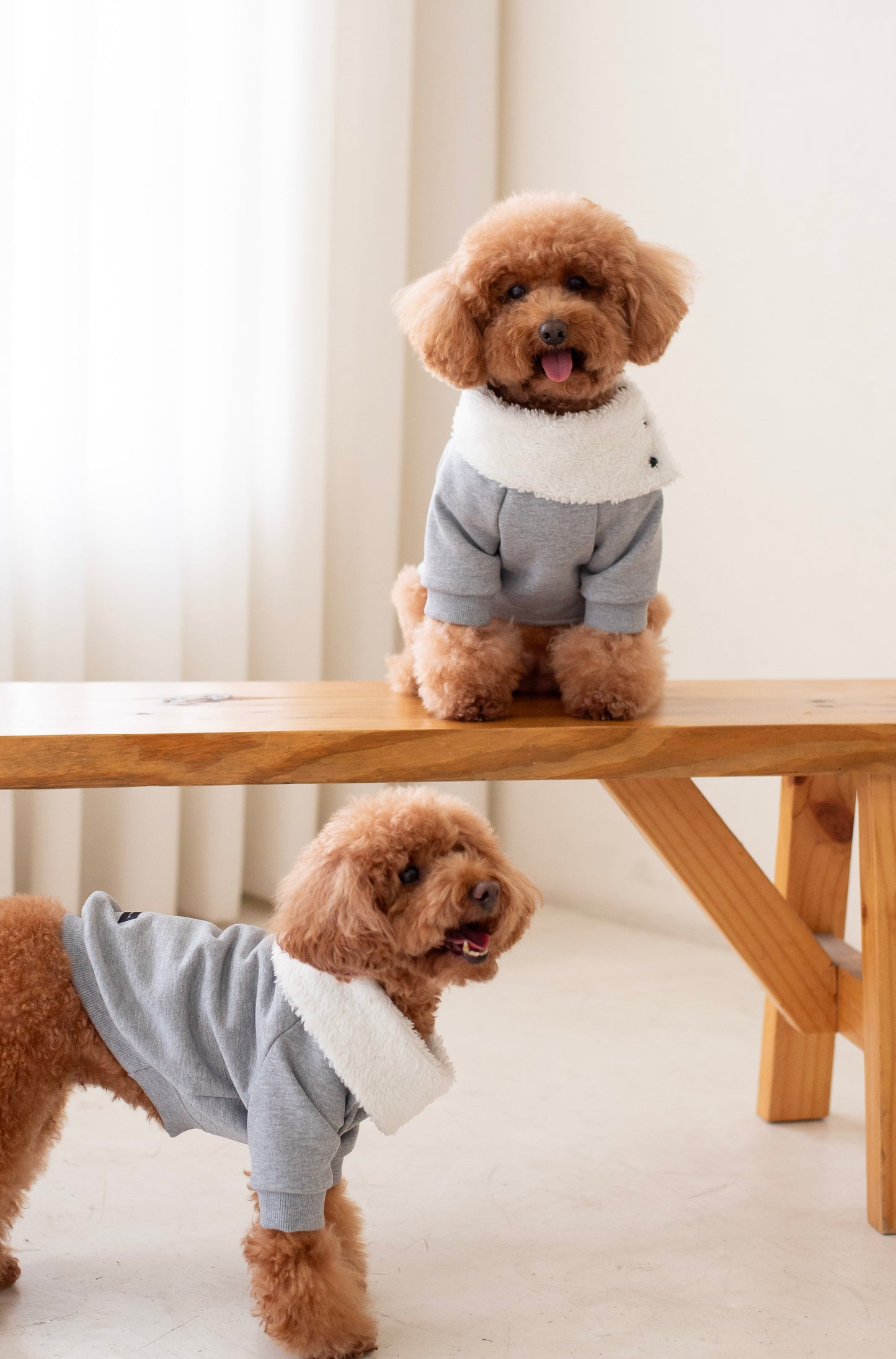Maison Hoodie
