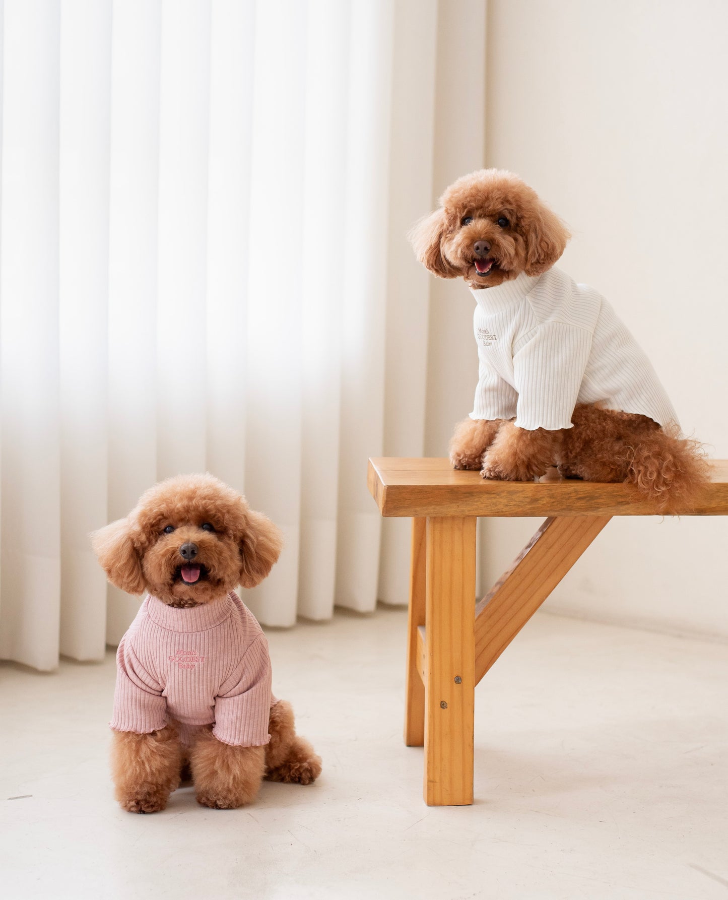Cozy Sweater