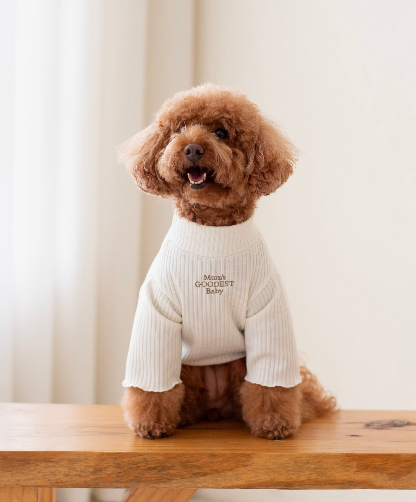 Cozy Sweater