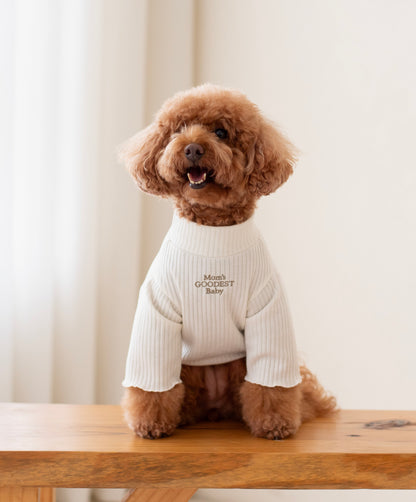 Cozy Sweater