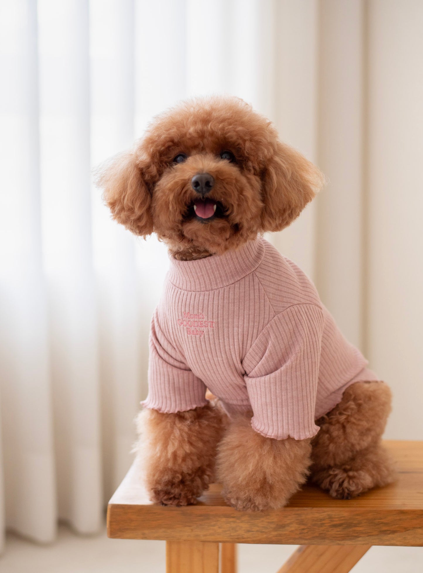 Cozy Sweater