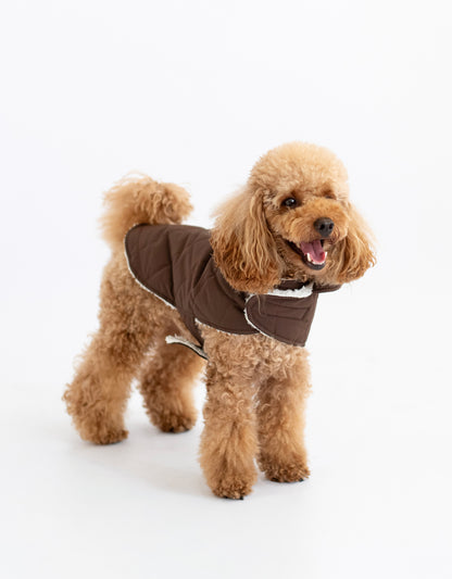 Arlo Vest