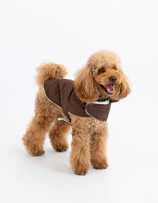 Arlo Vest