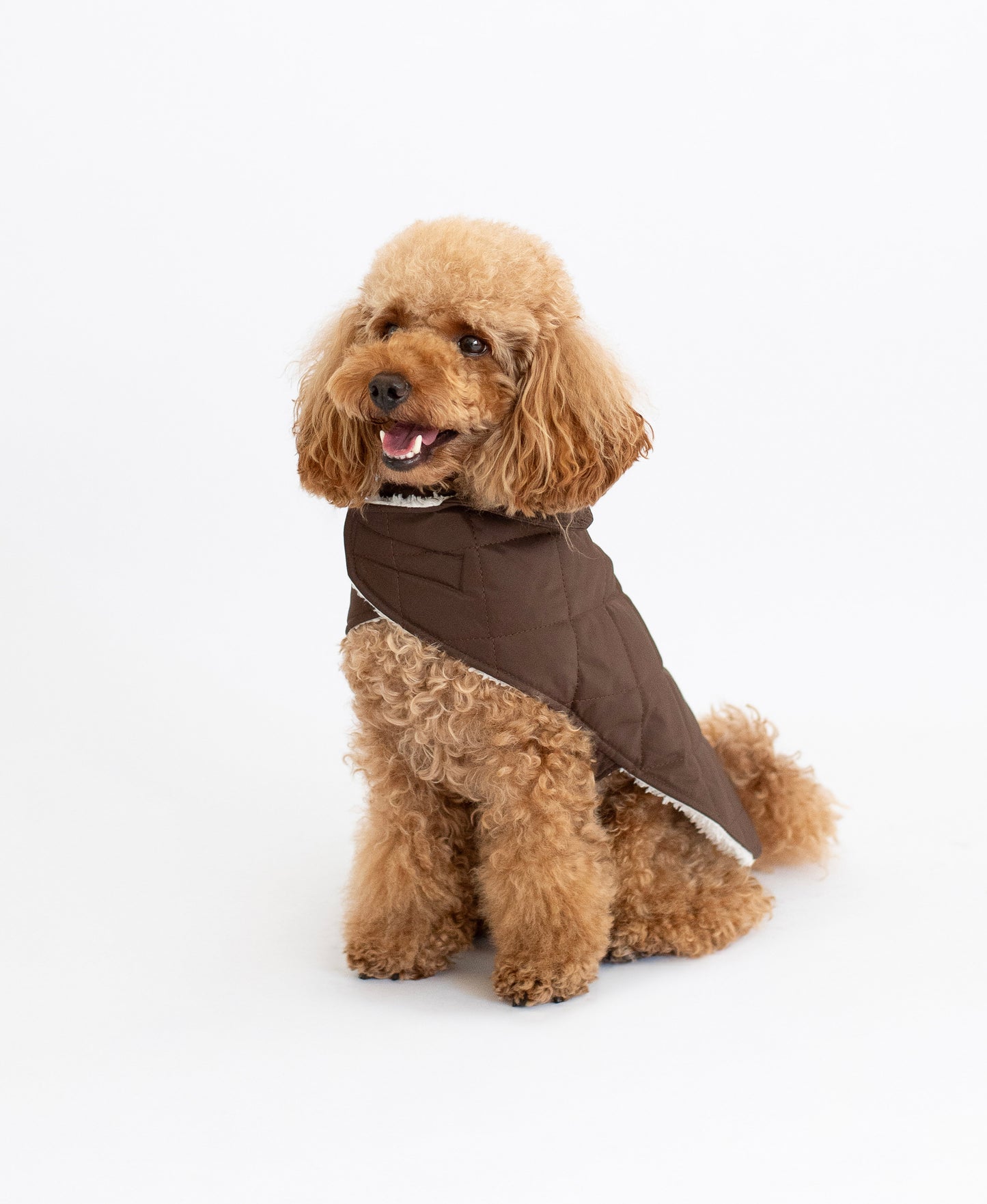 Arlo Vest