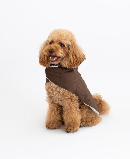 Arlo Vest