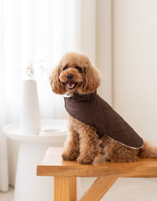Arlo Vest