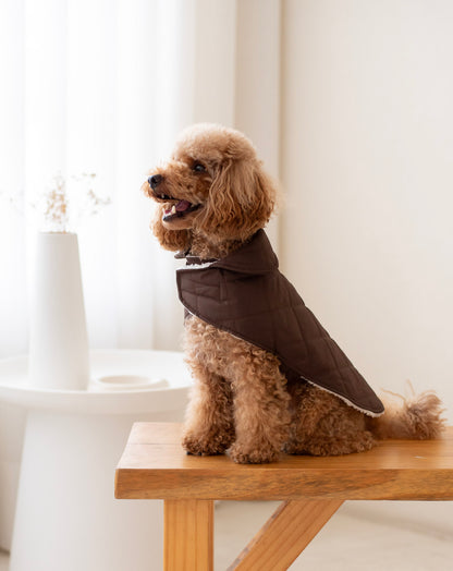 Arlo Vest