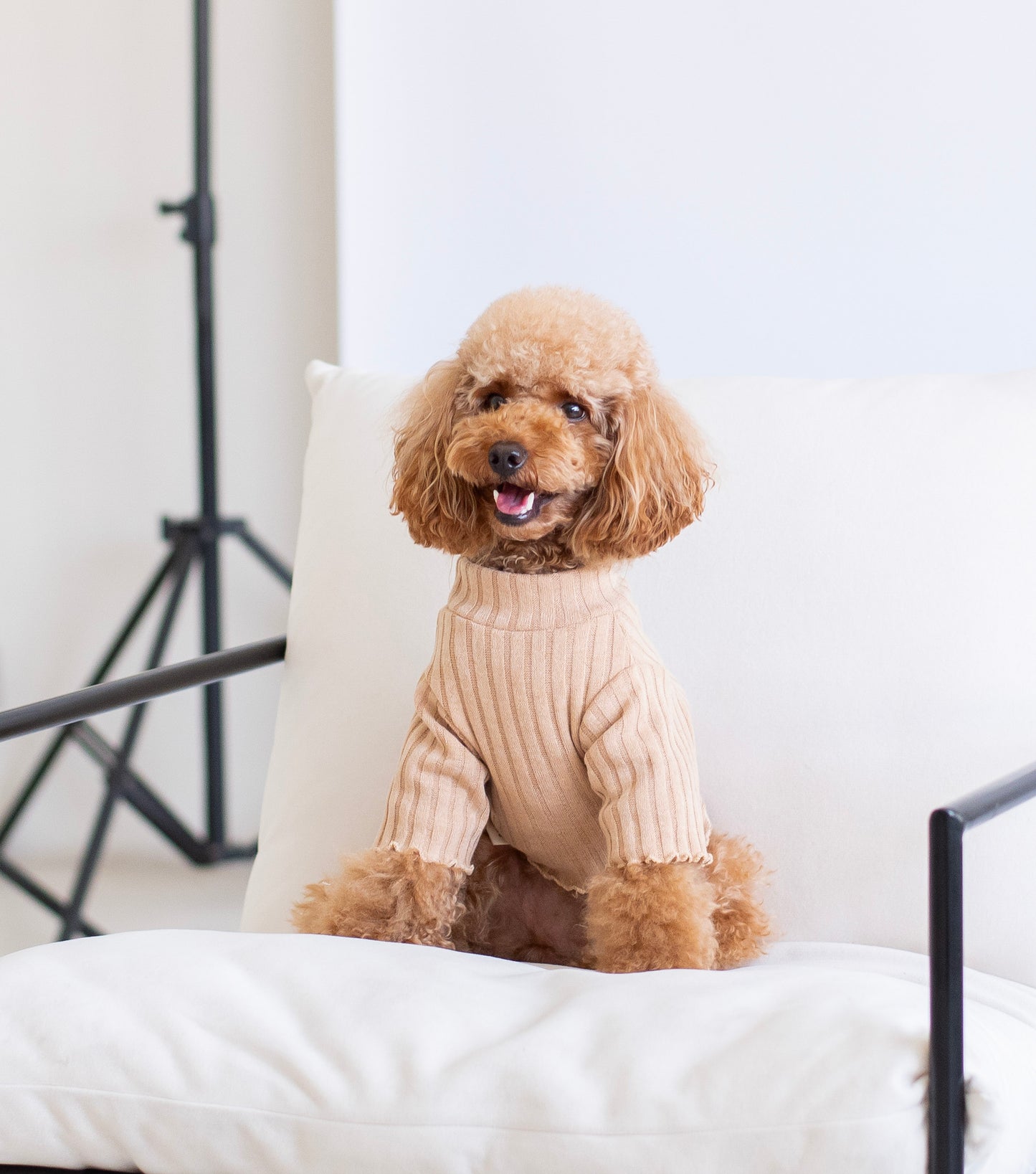 Teddy Knit