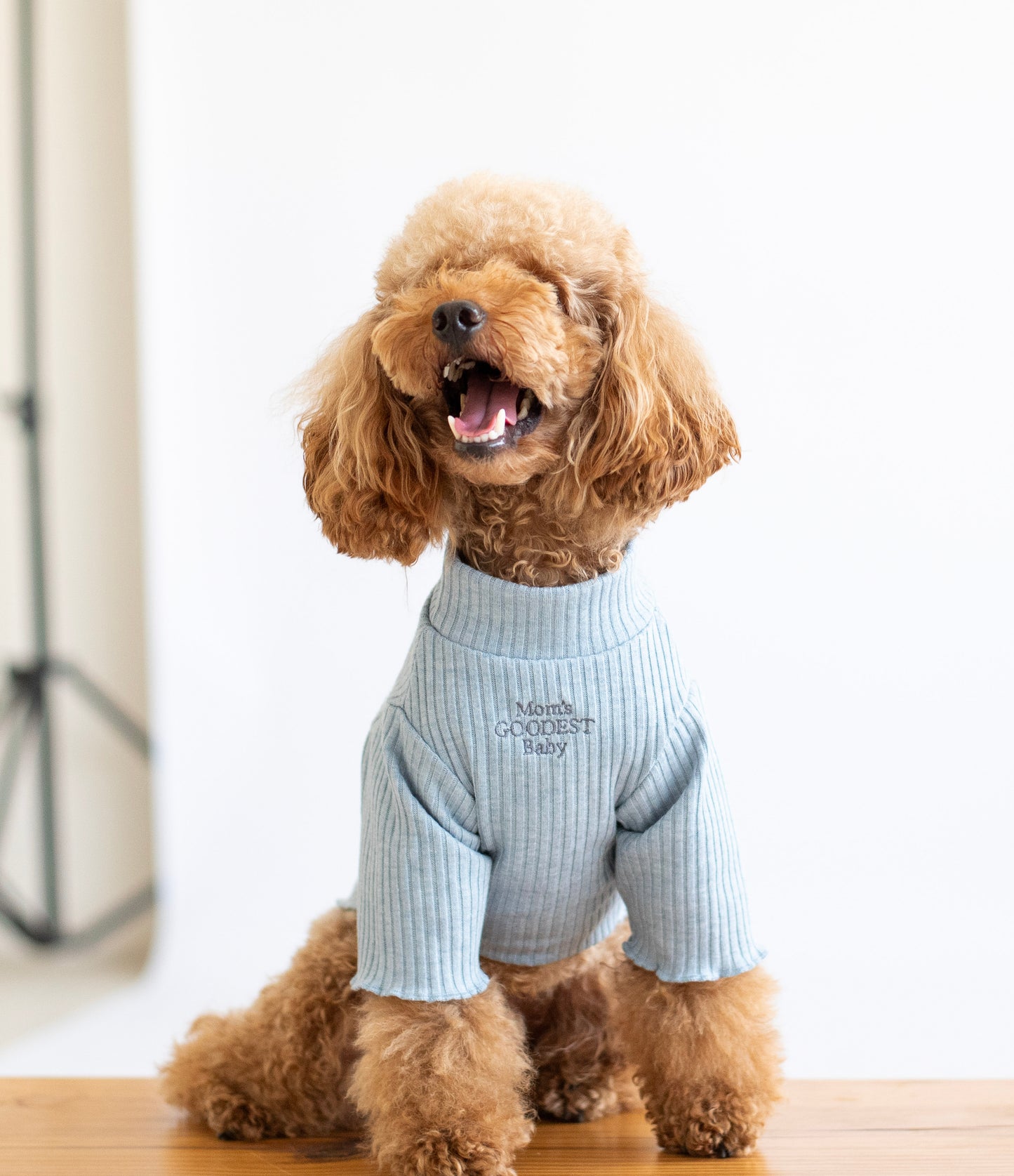 Cozy Sweater