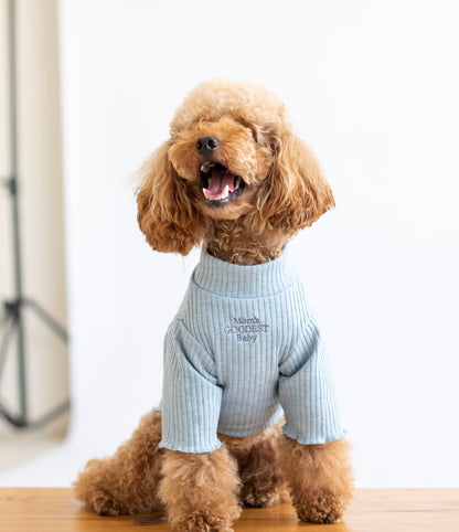 Cozy Sweater