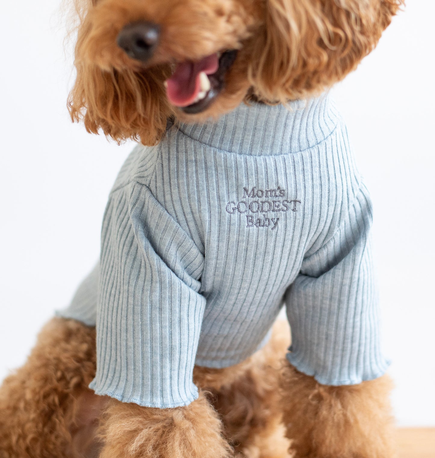 Cozy Sweater