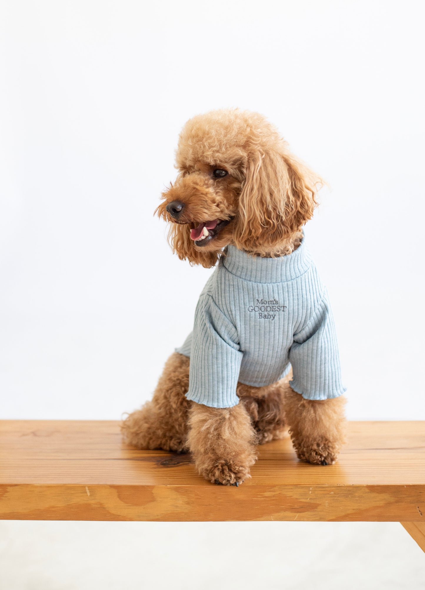 Cozy Sweater