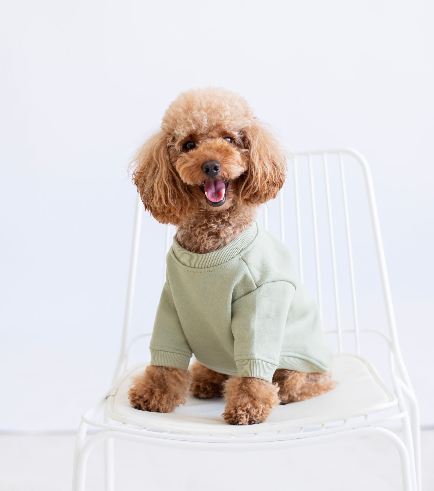 Koa Hoodie