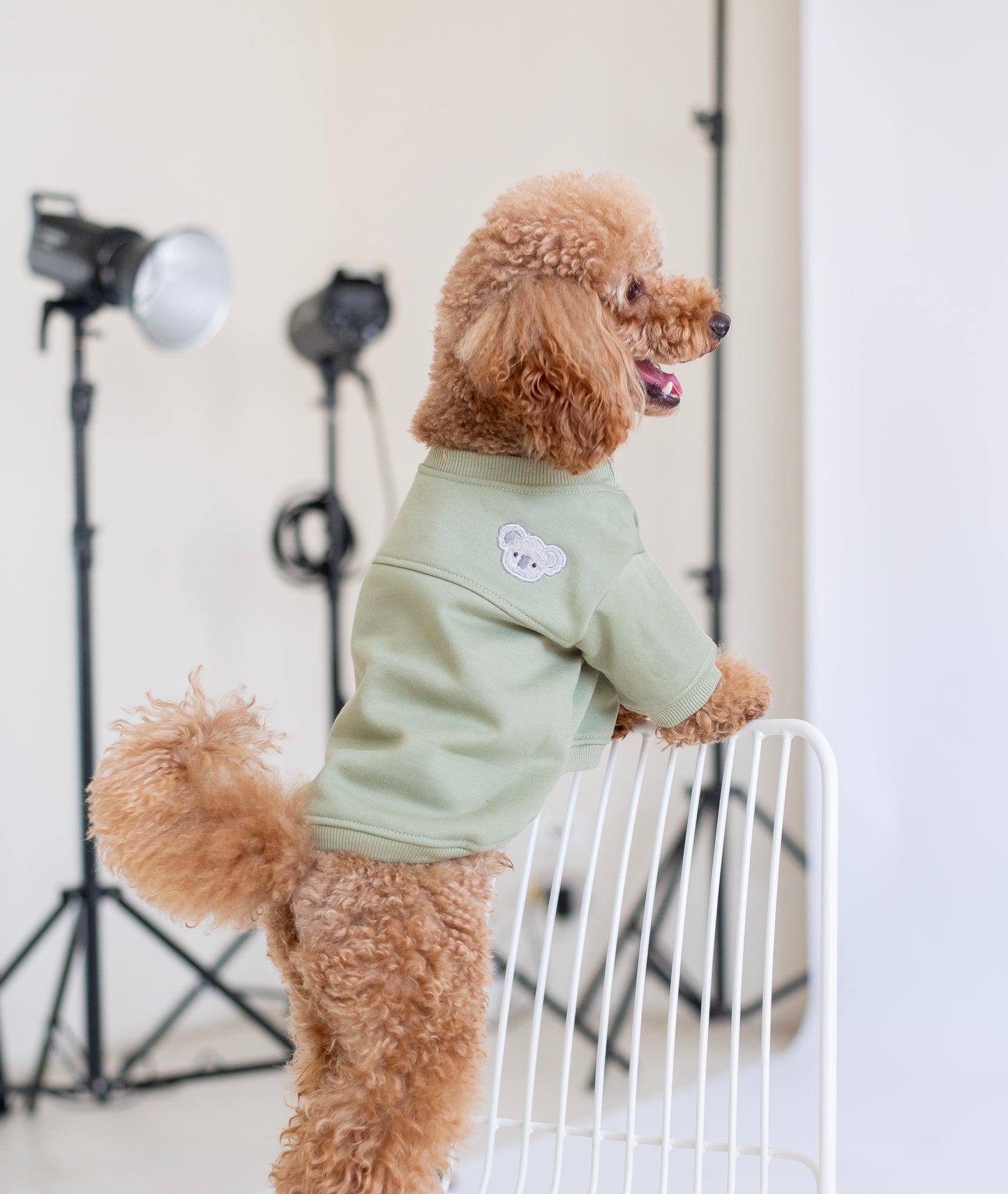 Koa Hoodie