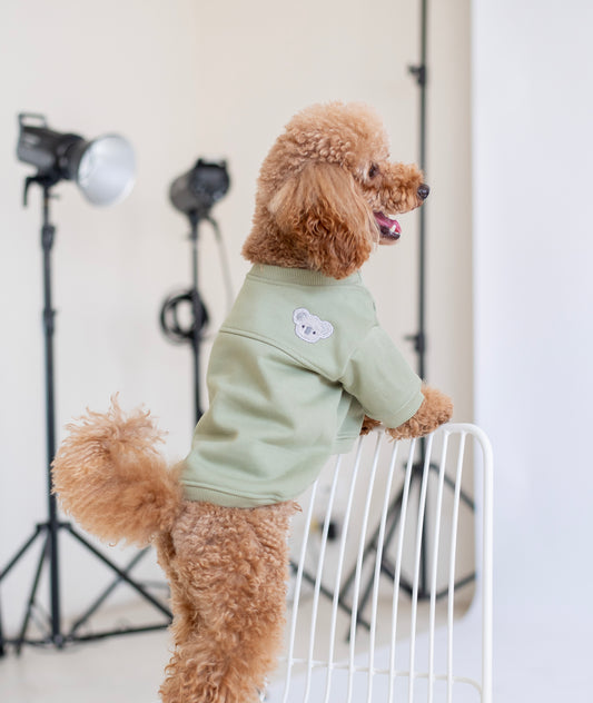 Koa Hoodie