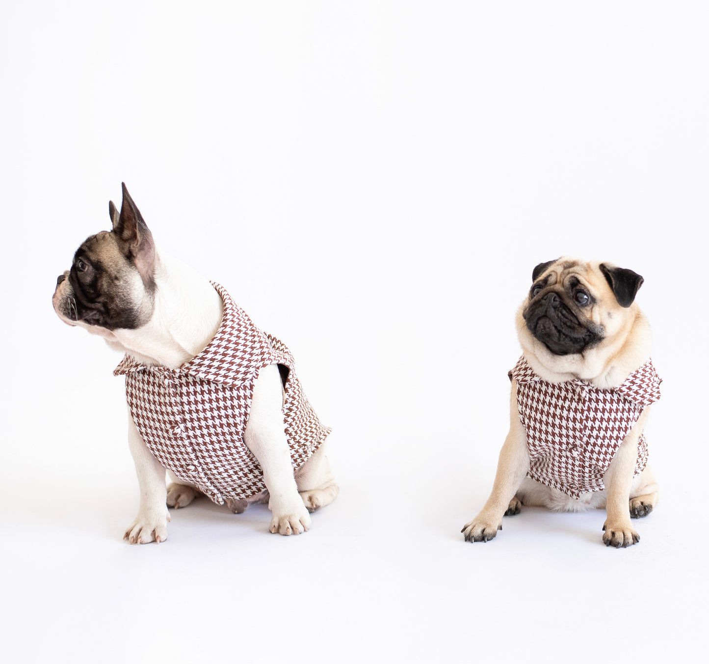 Duna Vest