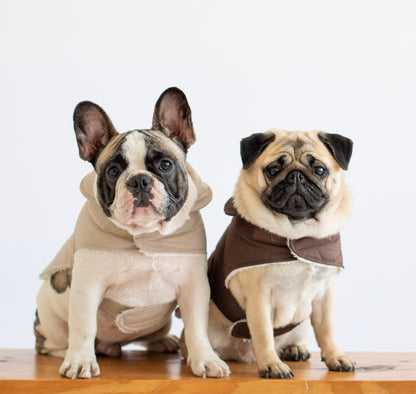 Arlo Vest