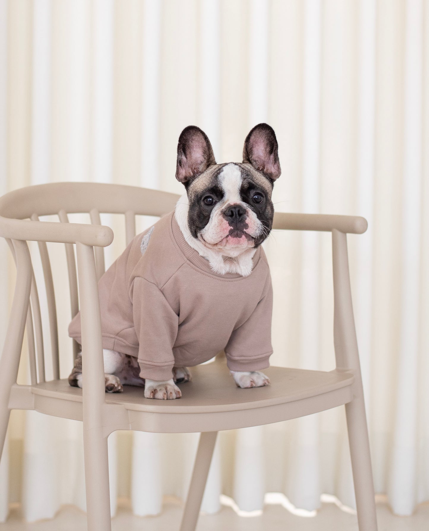 Koa Hoodie