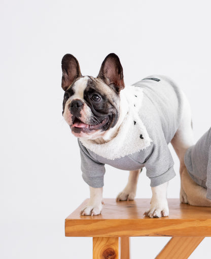 Maison Hoodie