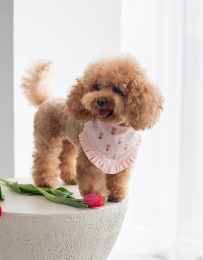 Bandana Tulipaw