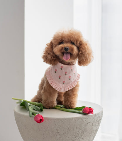 Bandana Tulipaw