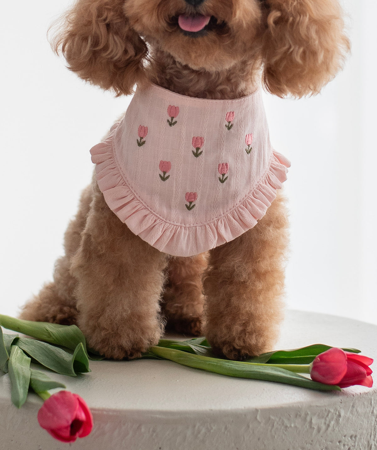 Bandana Tulipaw